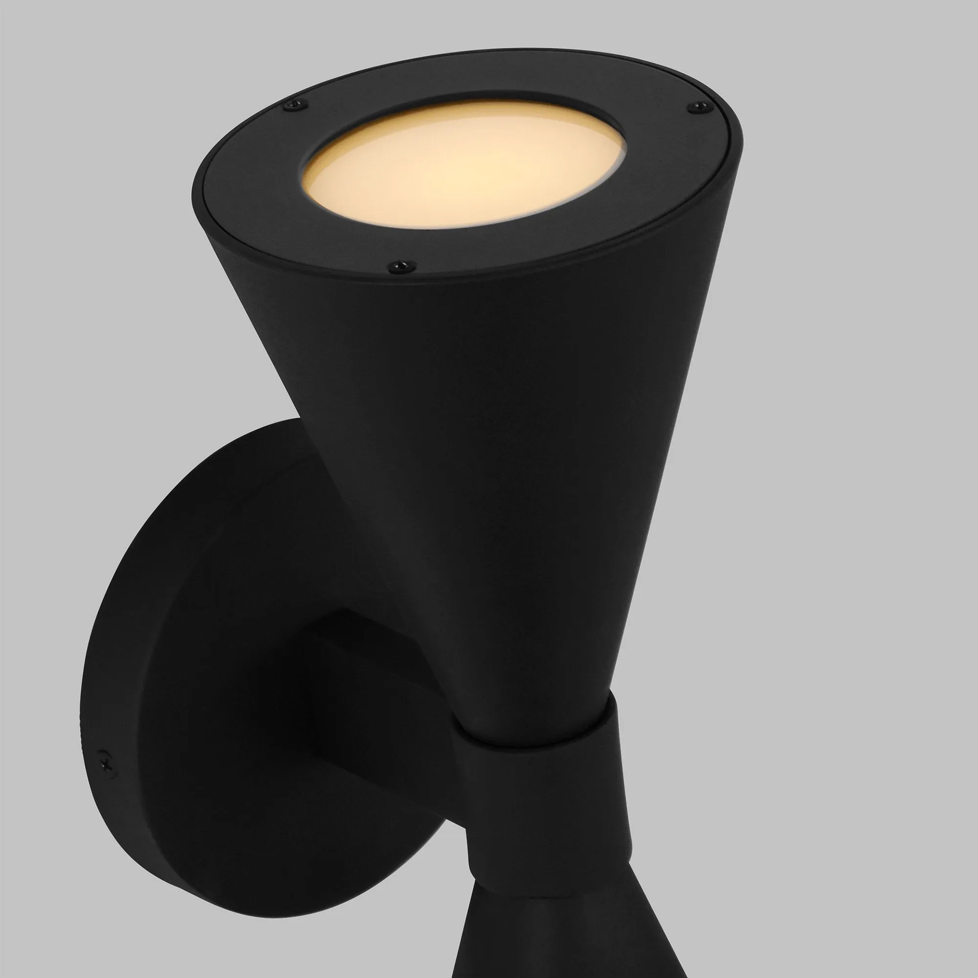 Aerin Albertine Outdoor Wall Sconce